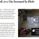 Image for article titled From Miasma to Ebola: The History of Racist Moral Panic Over Disease